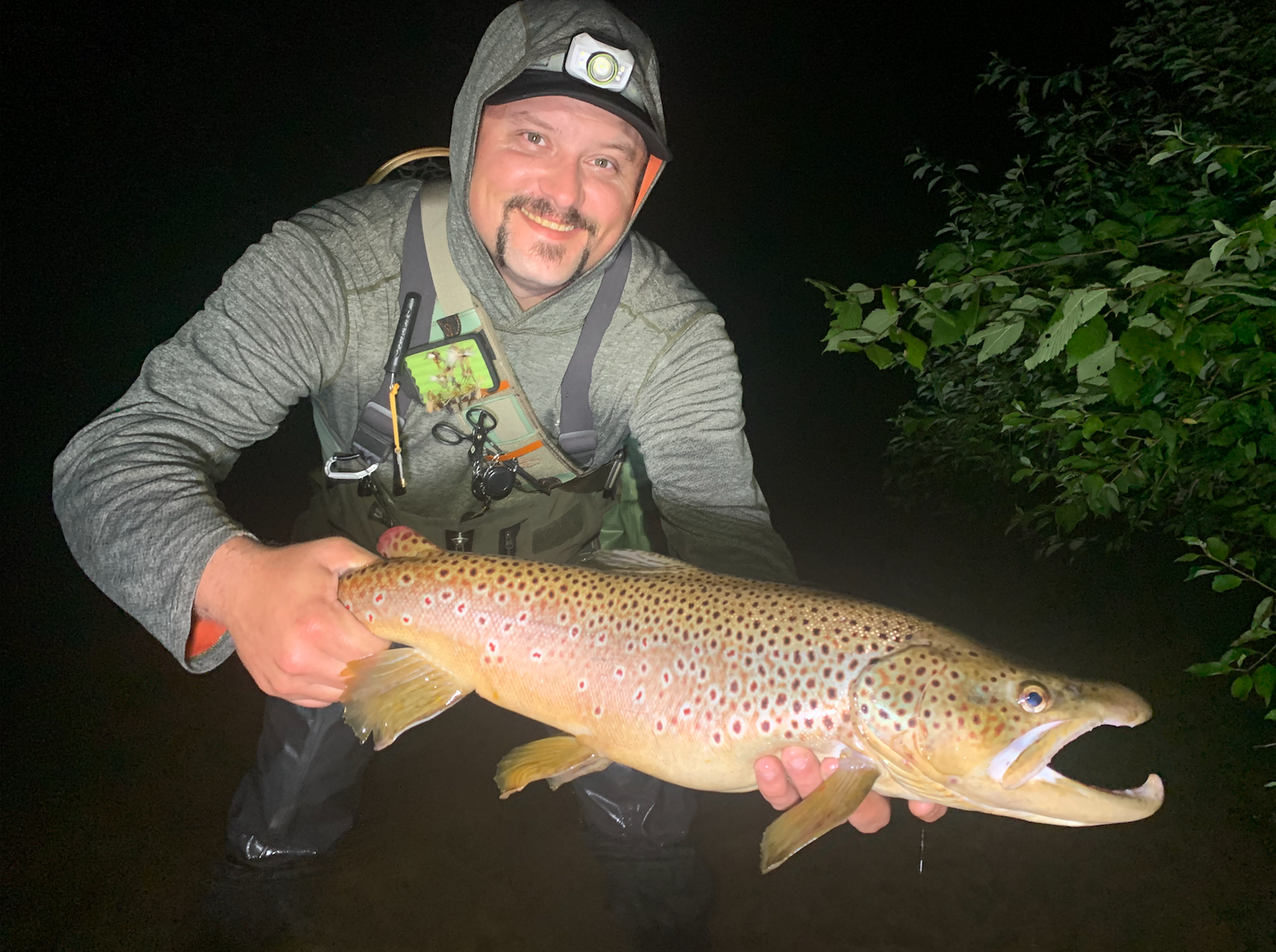 Catch and Release pt 2