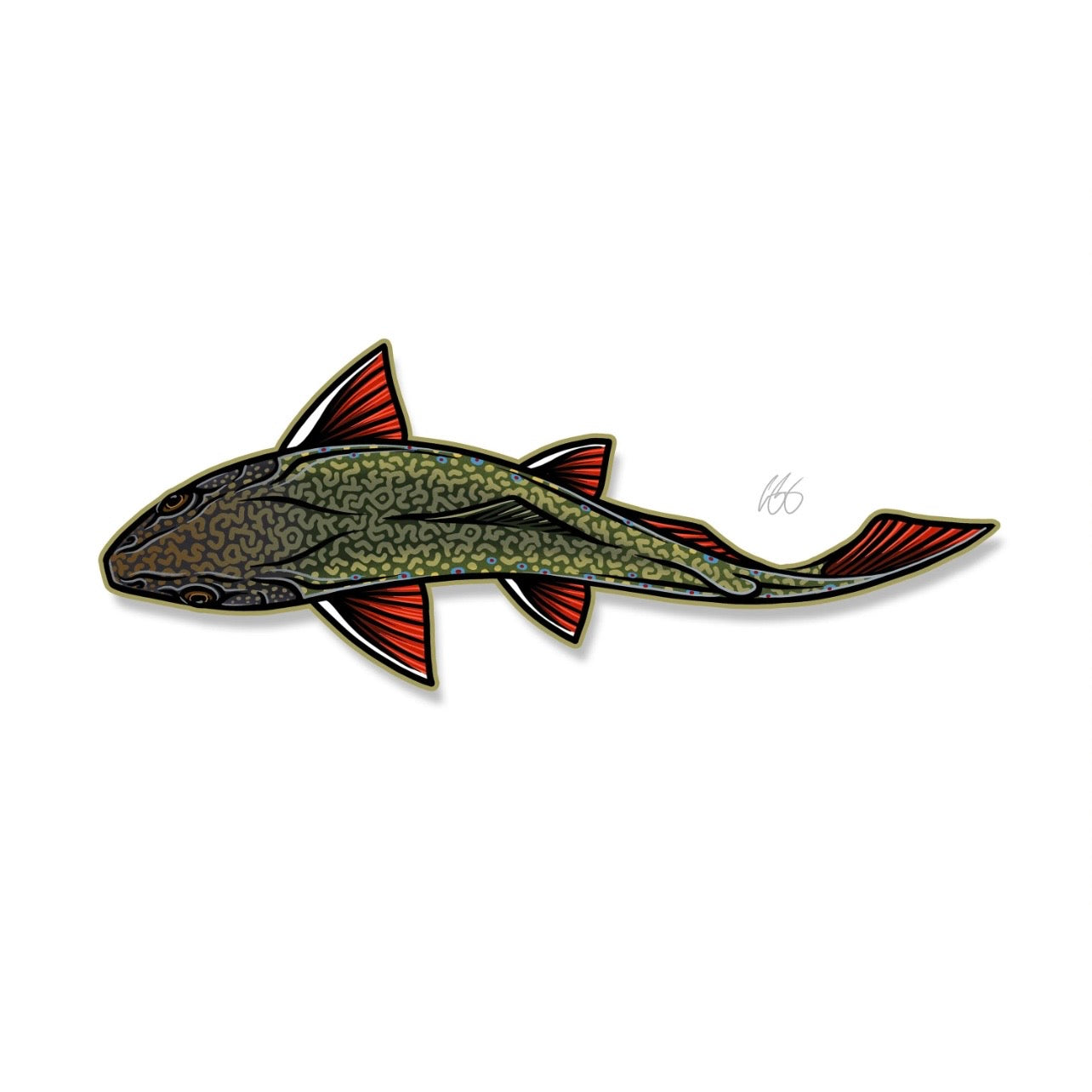 Swimming Brooke Trout