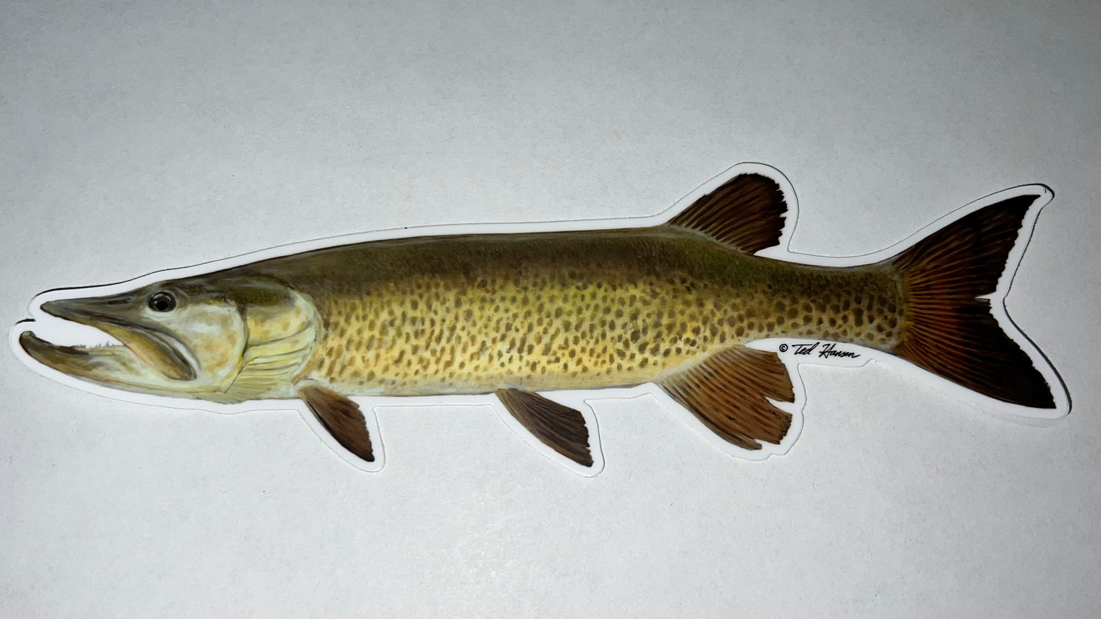 Musky Ted Hansen