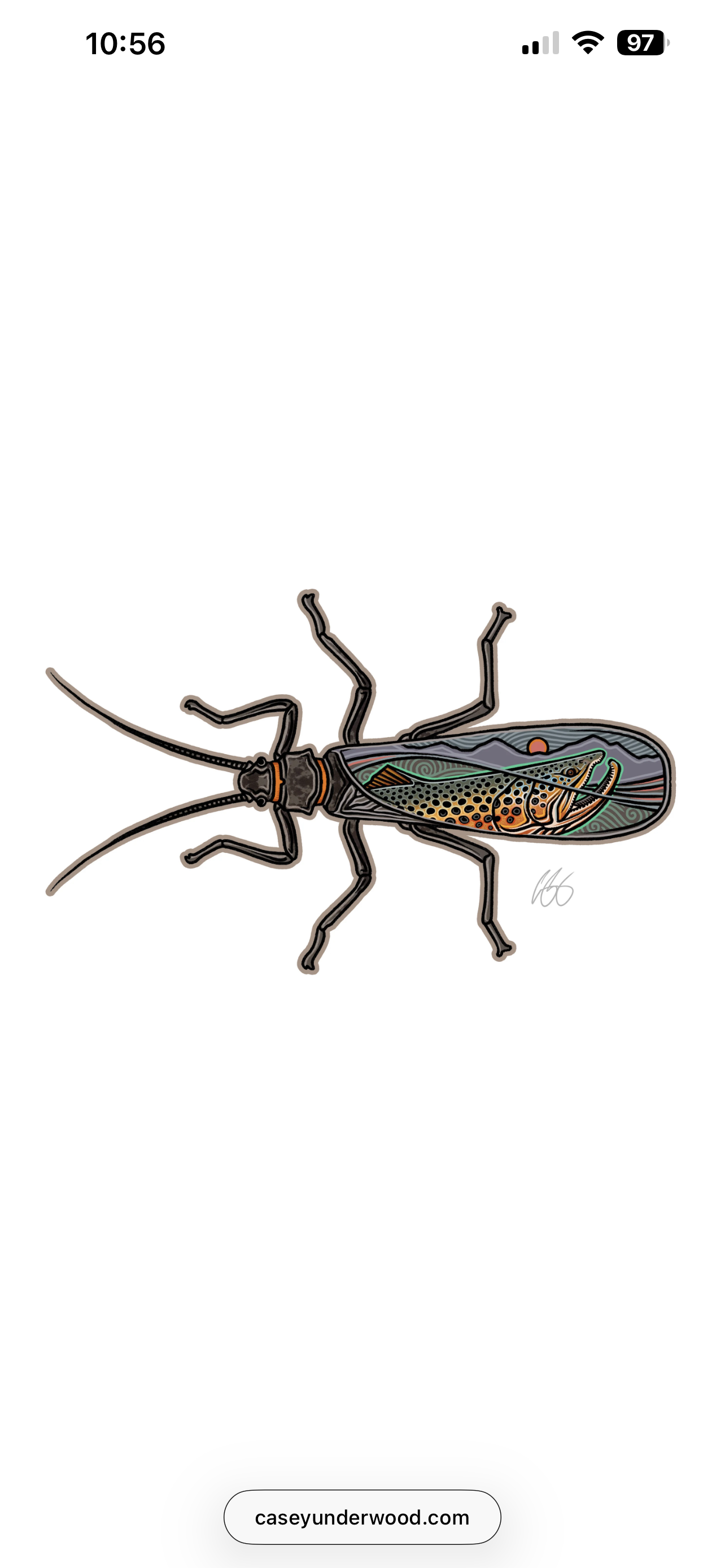 Salmon fly-Scape Decal