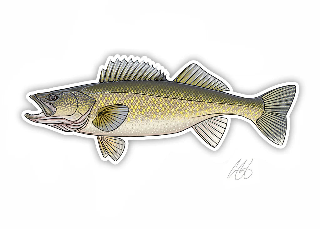 Walleye Decal