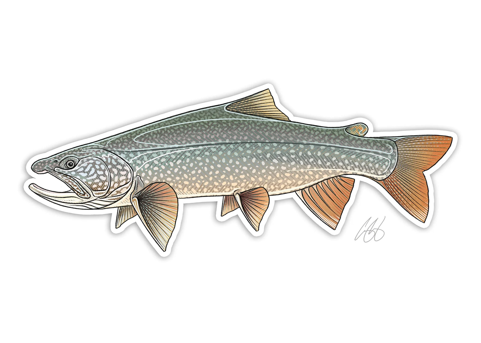 Lake Trout Decal