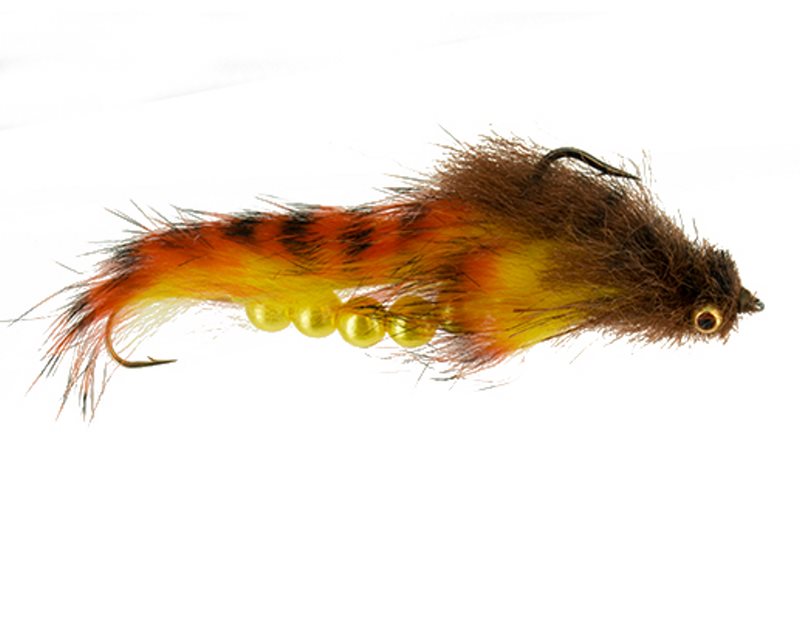 Wiese's Sleech Olive - 2