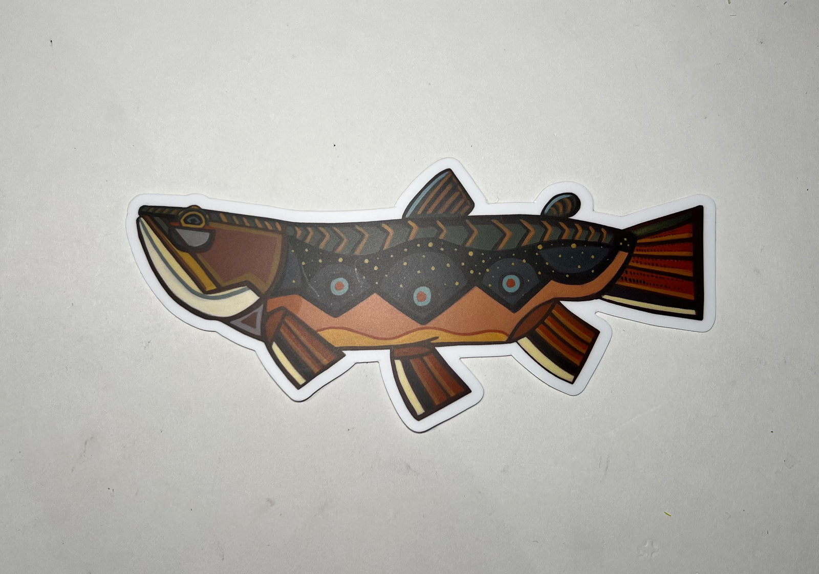 Josh DeSmit Brook Trout