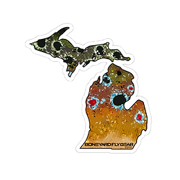 Michigan Brown Trout 2