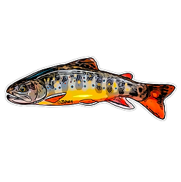 Small Stream Brook Trout - Dark Waters Fly Shop