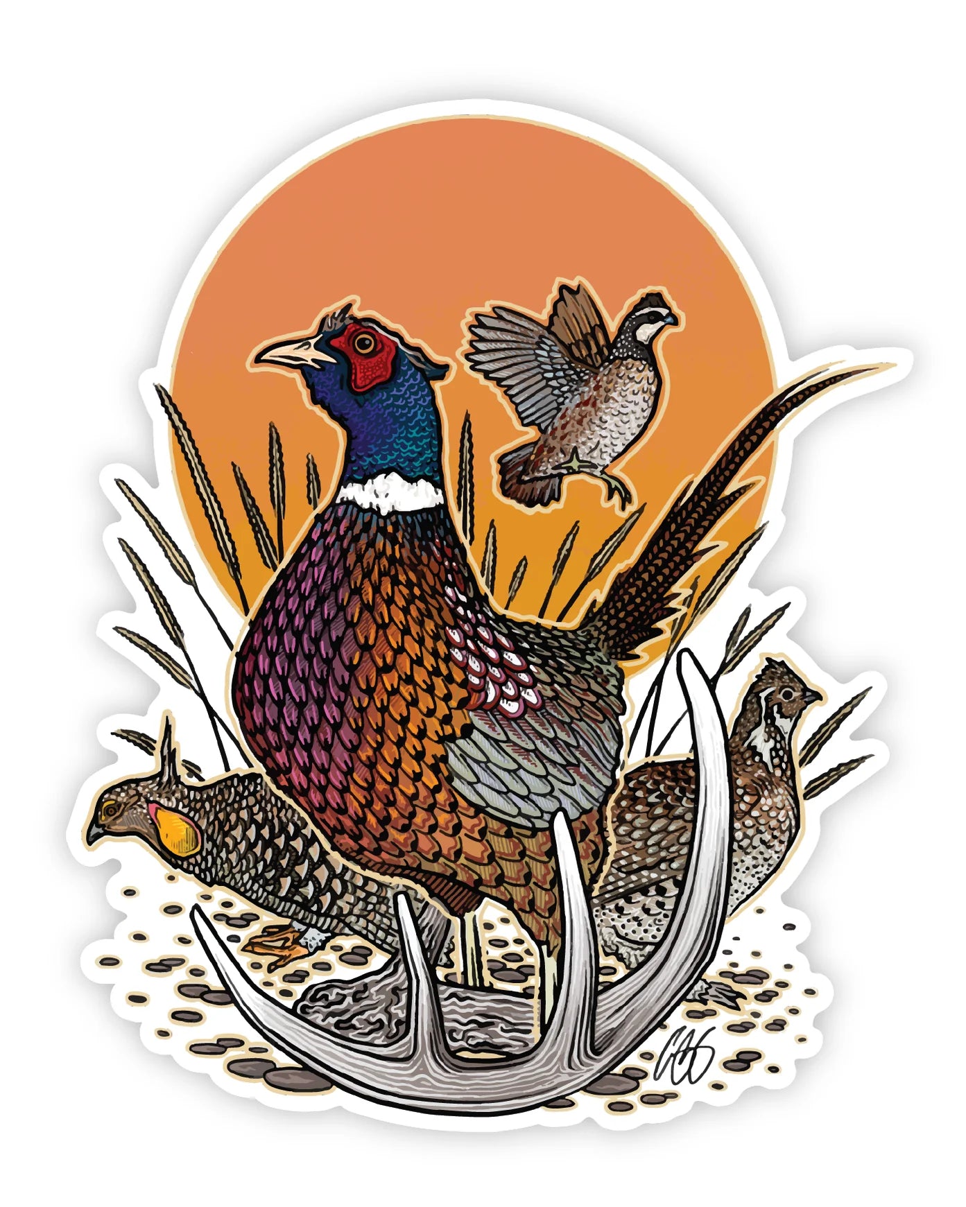 Pheasant Forever Decal
