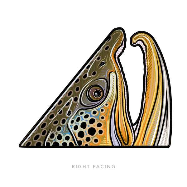 Toyota Brown Trout Fly Fishing Sticker 