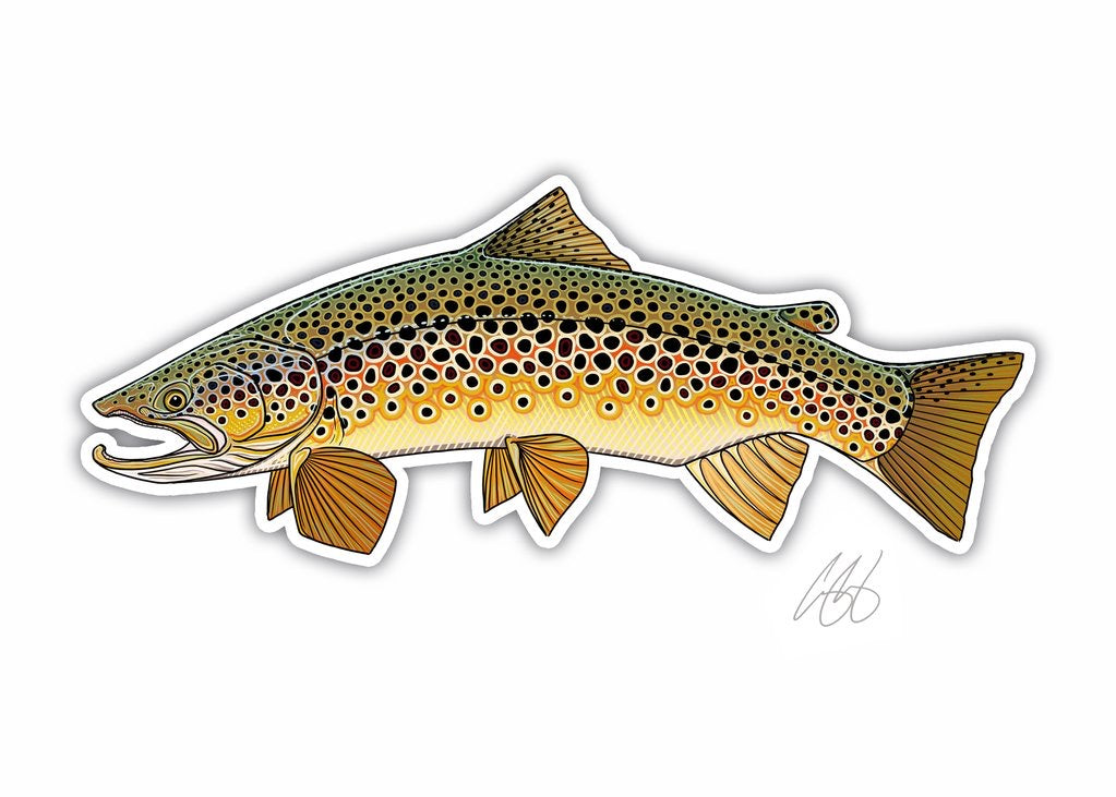Brown Trout Decal