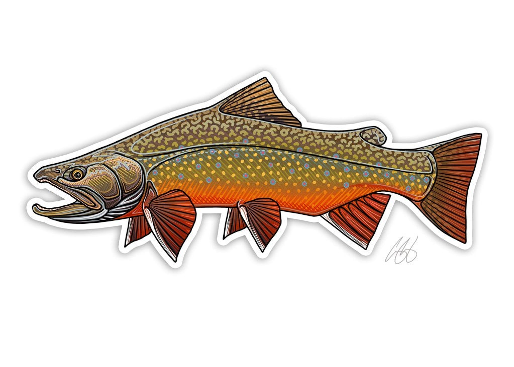 Brook Trout Decal