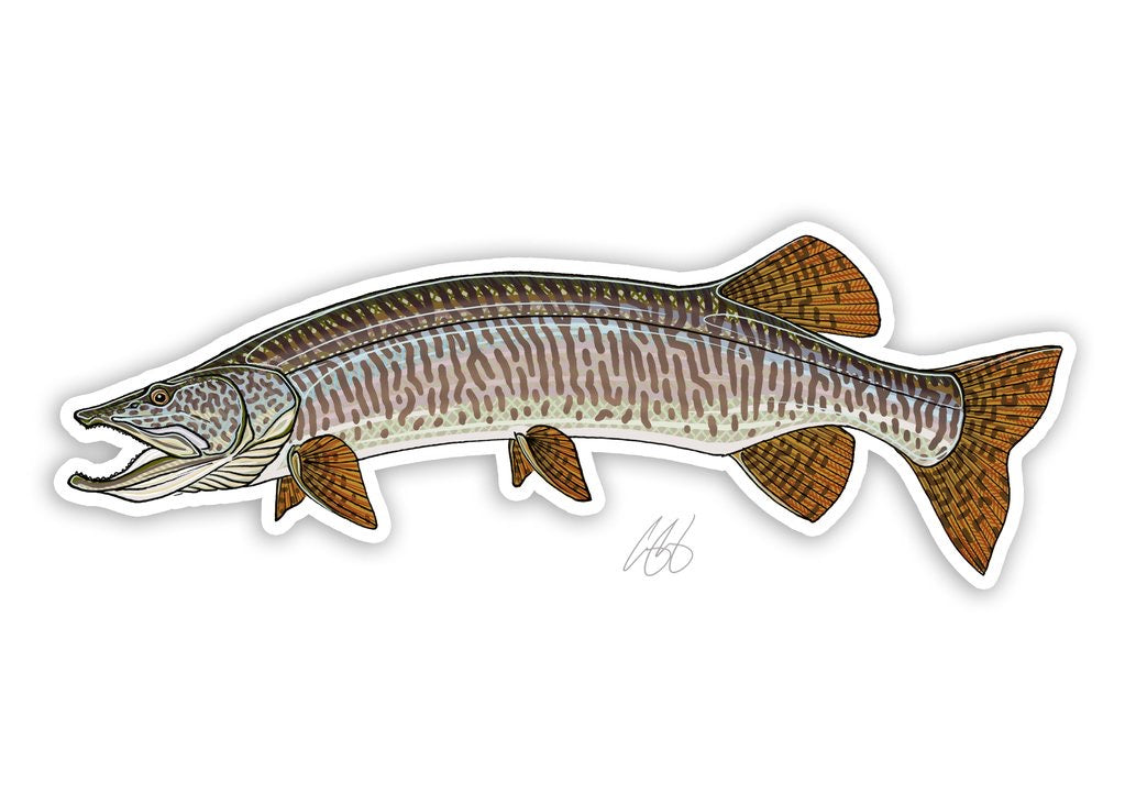Musky Decal