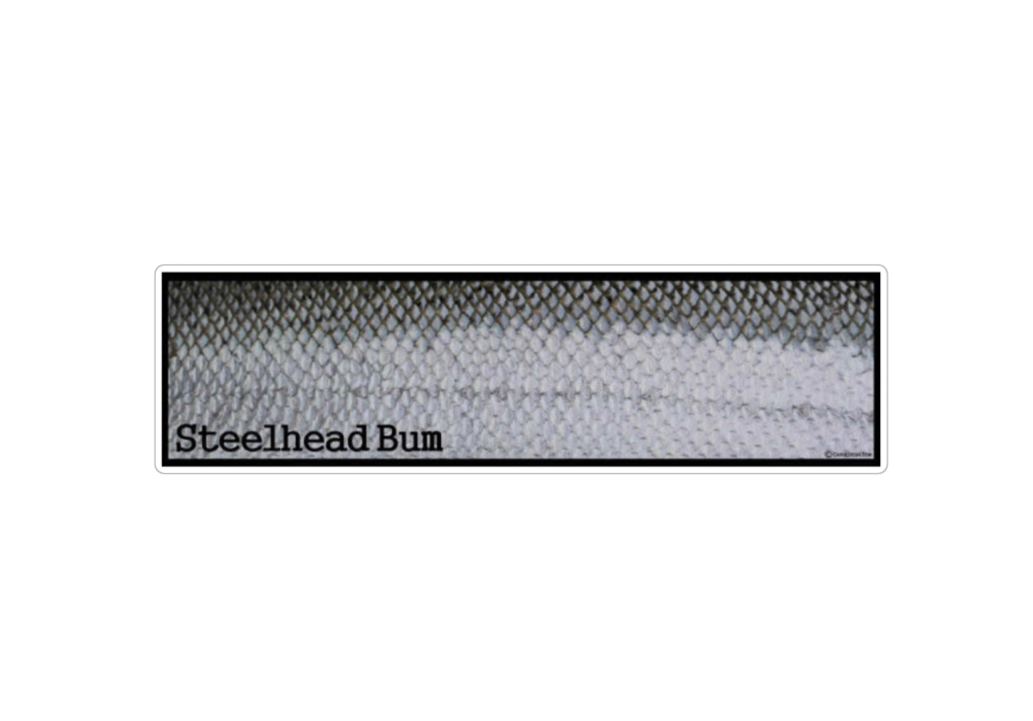 Steelhead Bum Sticker