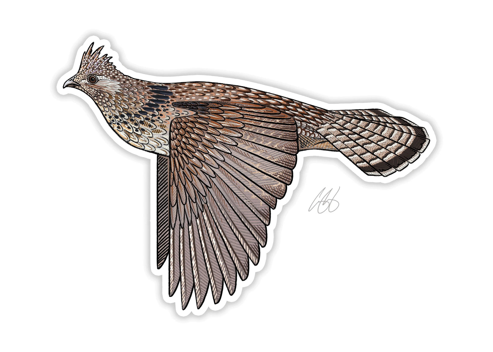 Ruffed Grouse Decal